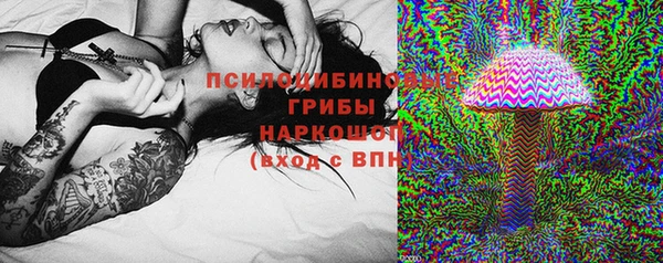 мдпв Тында