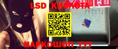 шишки Бузулук