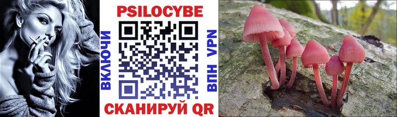 Псилоцибиновые грибы Psilocybe  цена наркотик  Шумерля 